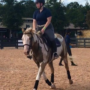 ISO Equestrian Items